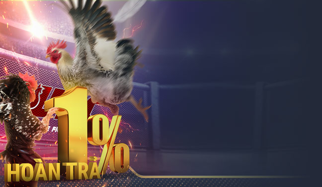 ĐÁ GÀ HOÀN TRẢ